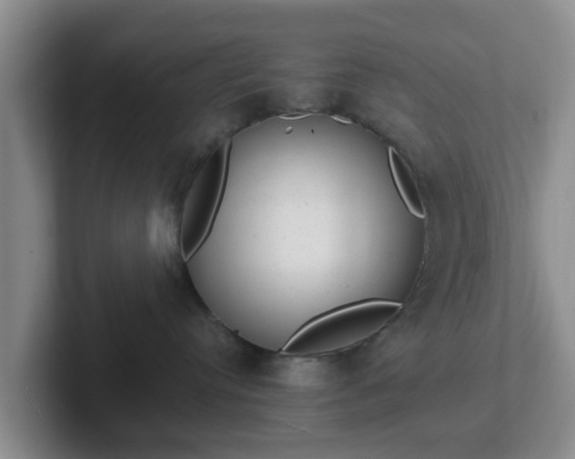 X0000102480384200808151455