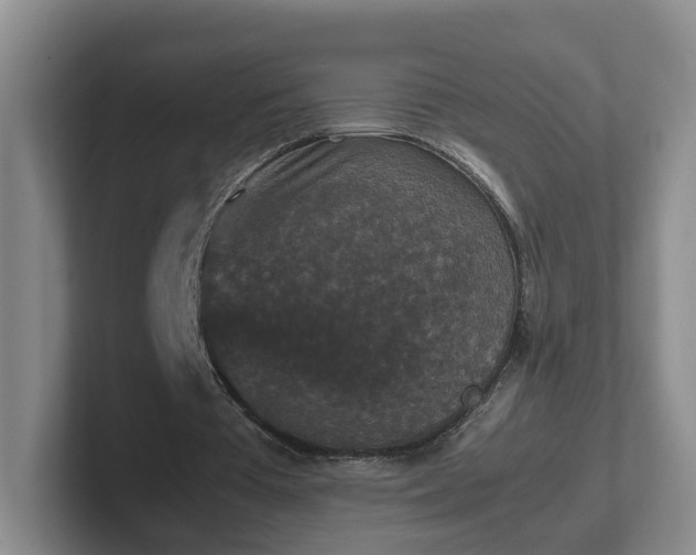 X0000102480385200808151454