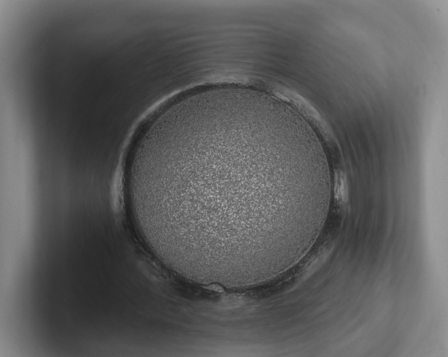 X0000102480388200808151454