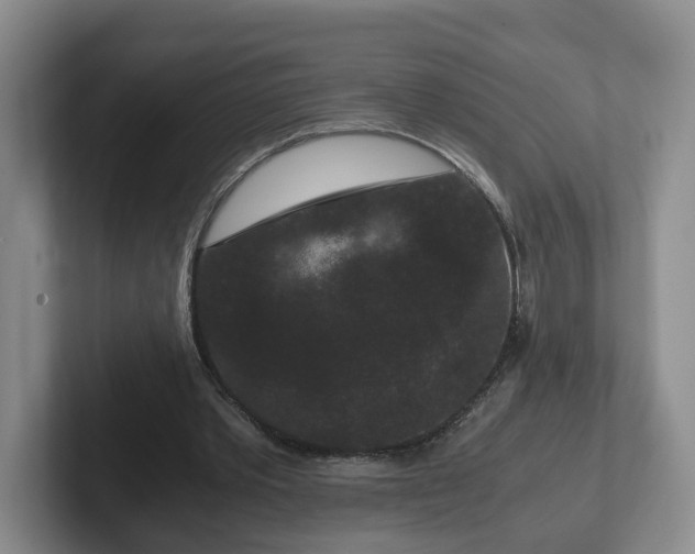 X0000102480389200808151454