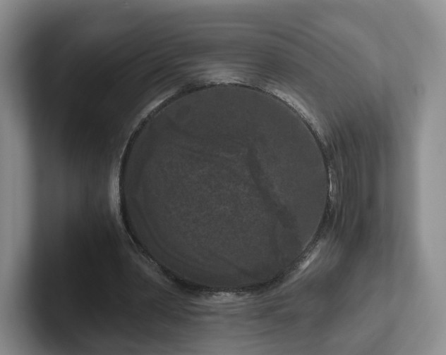 X0000102480390200808151454