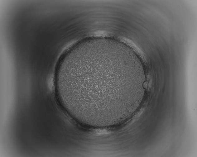 X0000102480392200808151454