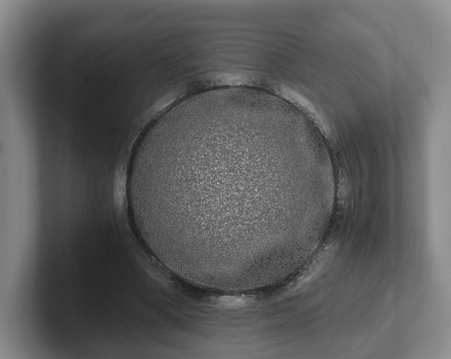 X0000102480394200808151454