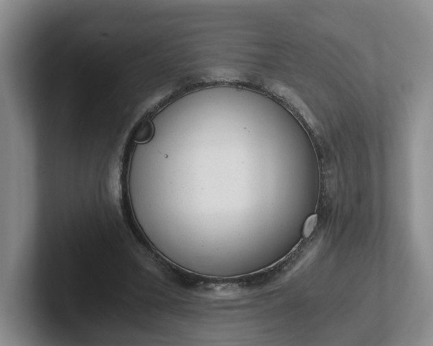 X0000102480395200808151454