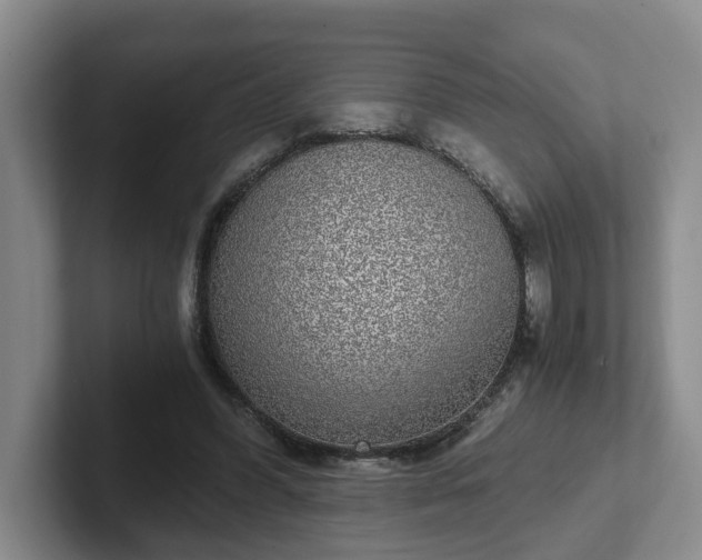 X0000102480396200808151454