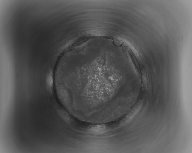 X0000102480398200808151454