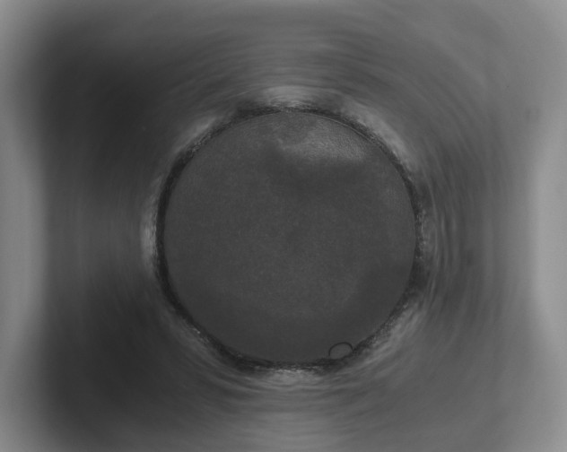 X0000102480399200808151454