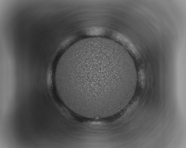 X0000102480400200808151454