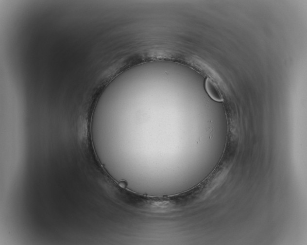 X0000102480401200808151454