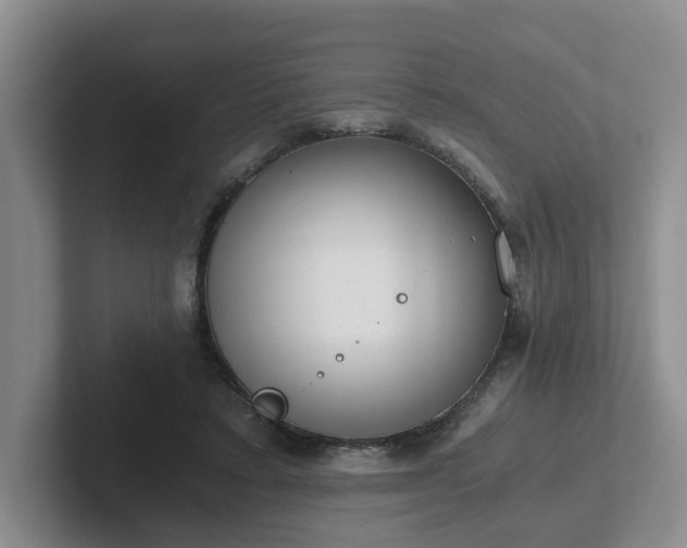 X0000102480403200808151454