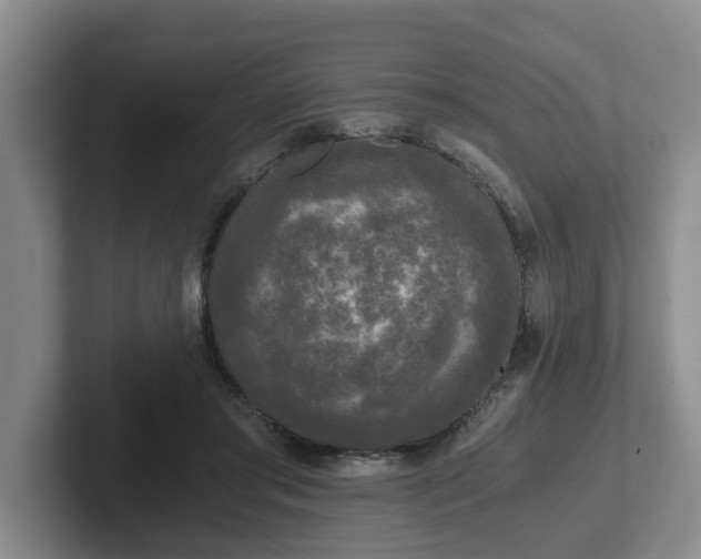 X0000102480405200808151454