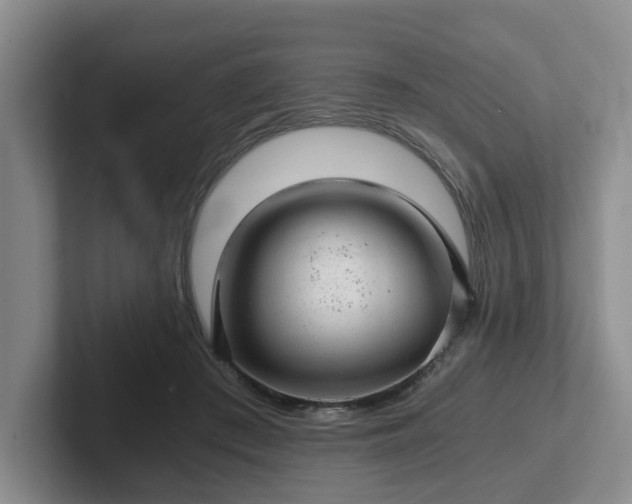 X0000102480409200808151454