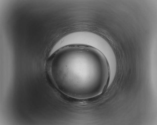 X0000102480411200808151454