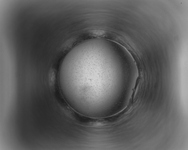 X0000102480412200808151454