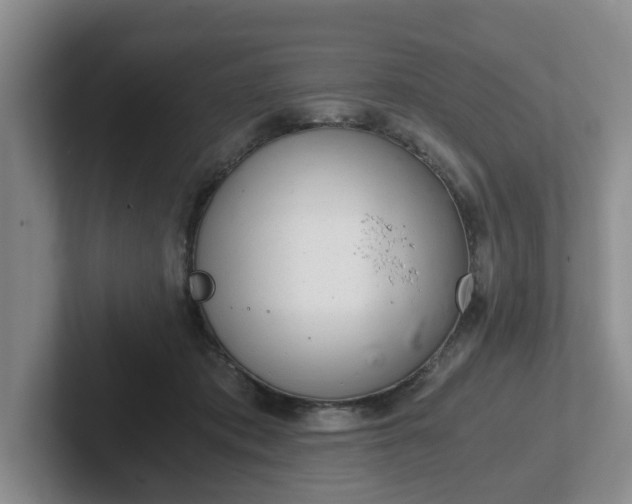 X0000102480413200808151454