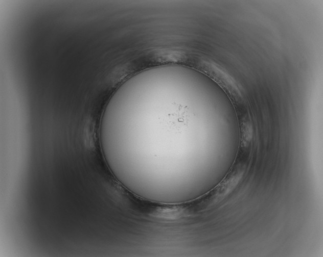 X0000102480414200808151454