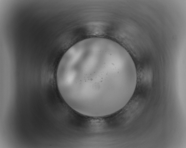 X0000102480415200808151454