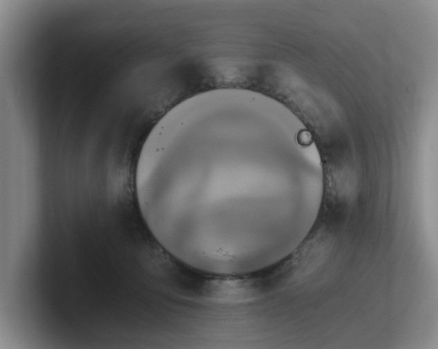 X0000102480419200808151454