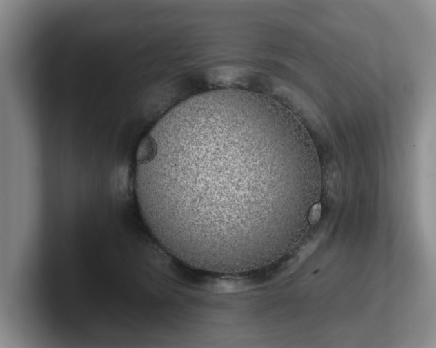 X0000102480420200808151454