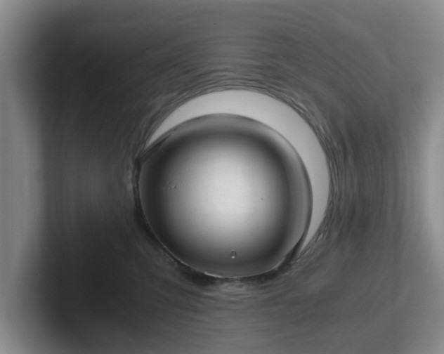 X0000102480423200808151454