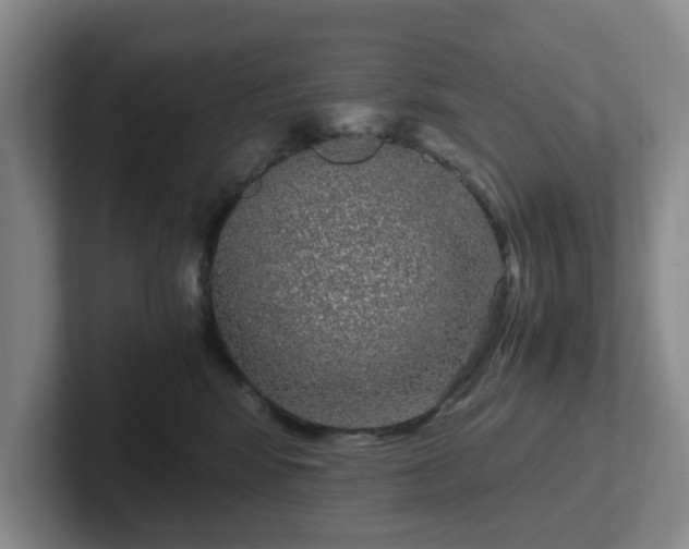 X0000102480424200808151454