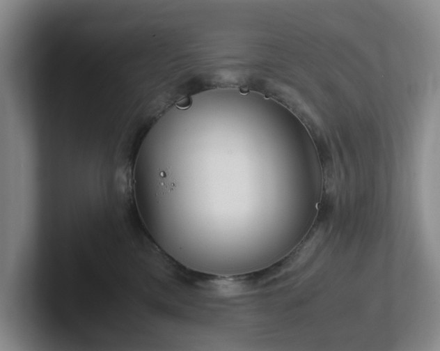 X0000102480425200808151454