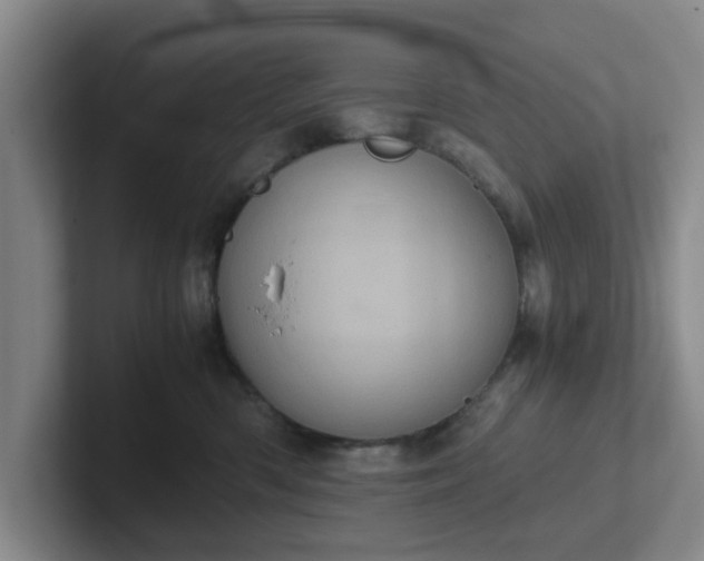 X0000102480426200808151454