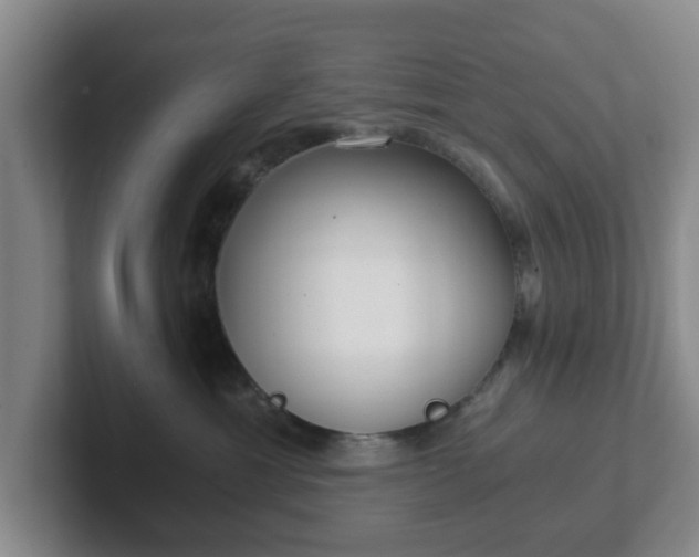 X0000102480429200808151454