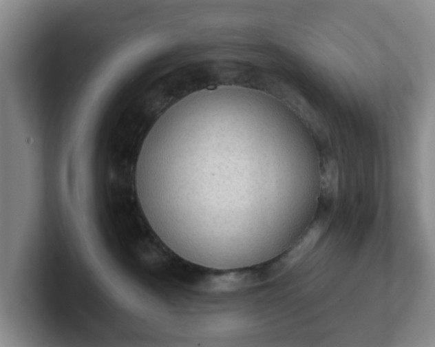 X0000102480430200808151454