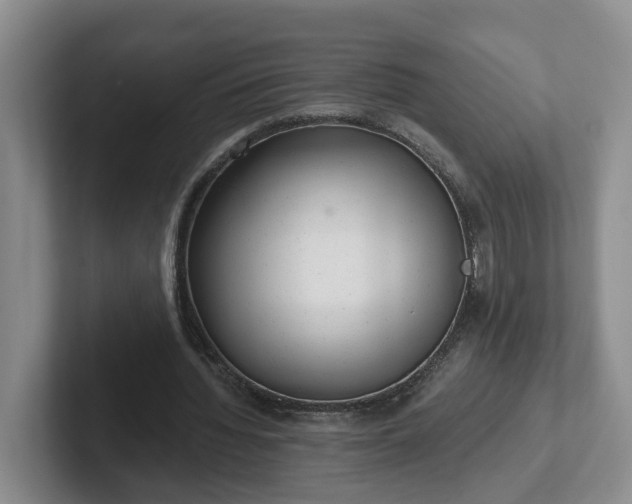 X0000102480436200808151453