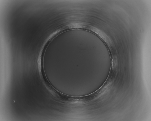 X0000102480438200808151453