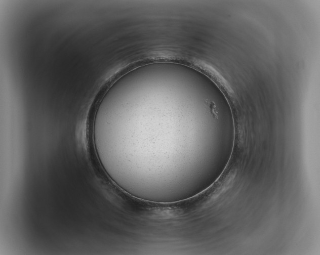 X0000102480439200808151453