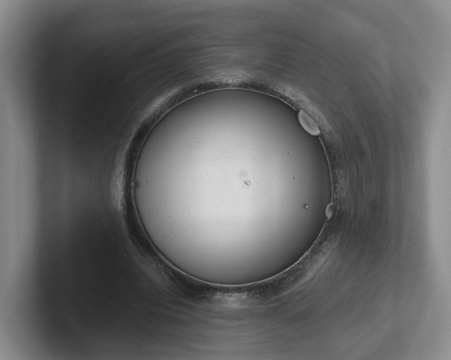 X0000102480440200808151453