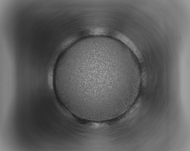 X0000102480442200808151453