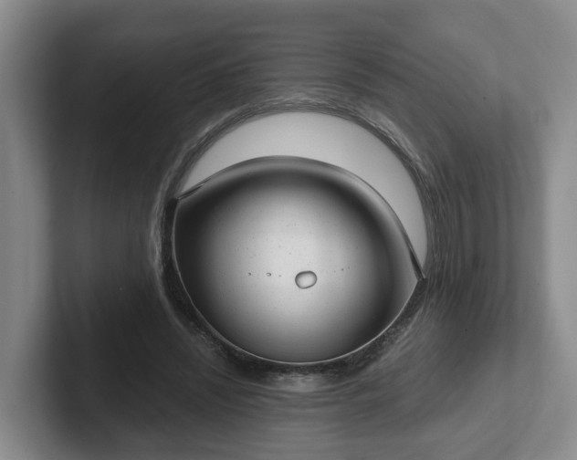 X0000102480444200808151453