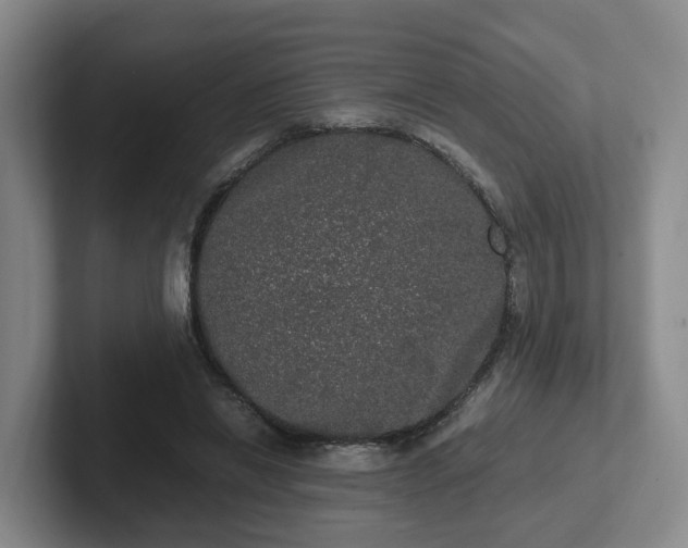 X0000102480446200808151453