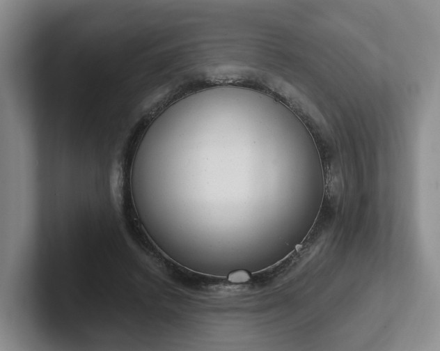 X0000102480448200808151453