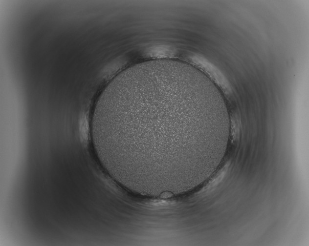 X0000102480453200808151453