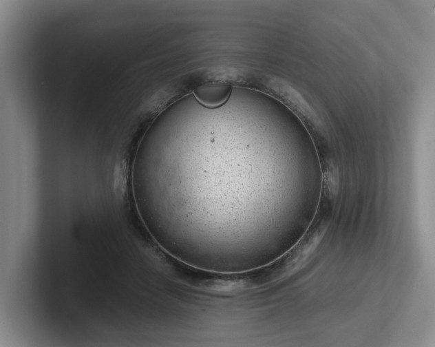 X0000102480458200808151453