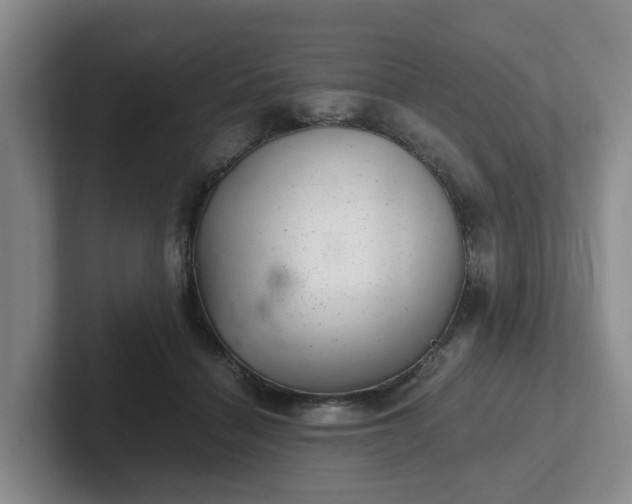 X0000102480460200808151453