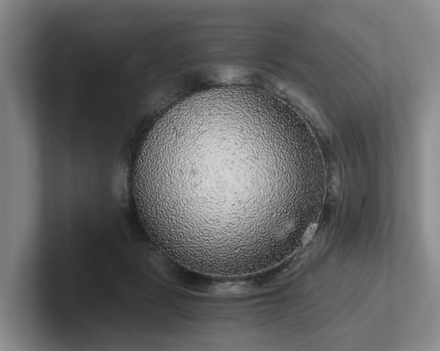 X0000102480461200808151453