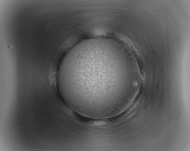 X0000102480462200808151453