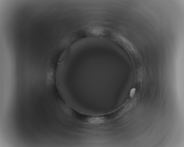 X0000102480465200808151453