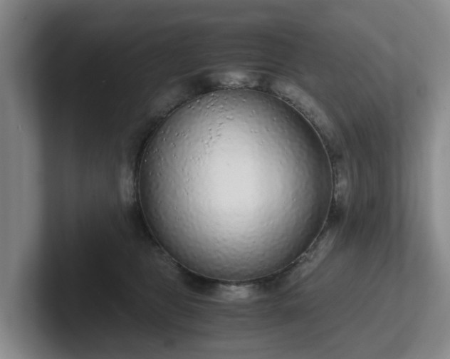 X0000102480469200808151454