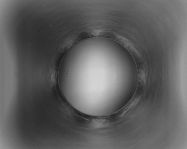 X0000102480470200808151454