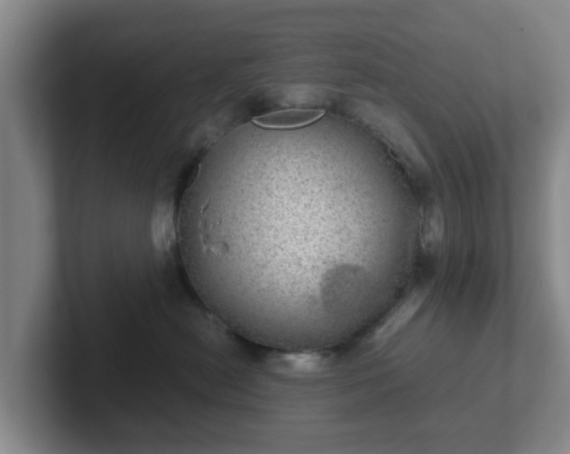 X0000102480478200808151454