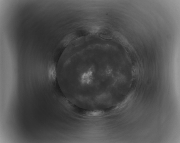 X0000102480479200808151454