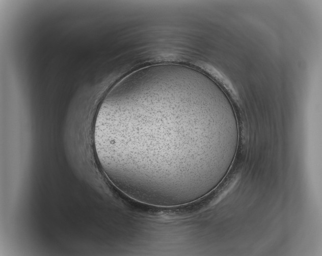 X0000102480481200808151453