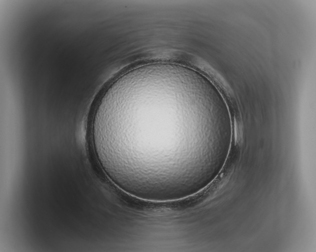 X0000102480483200808151453