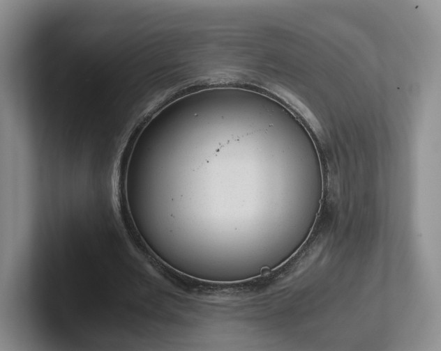 X0000102480485200808151453